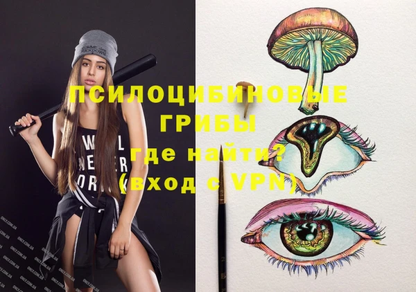 apvp Волоколамск