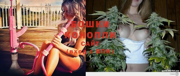 стафф Володарск