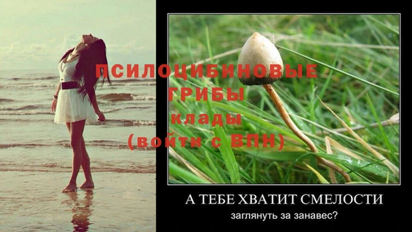 спайс Дмитровск