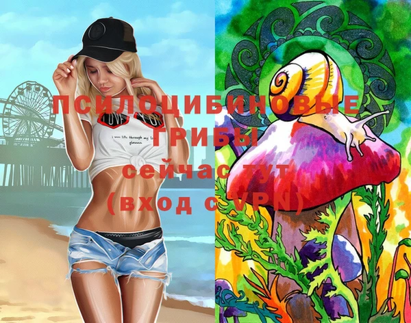 apvp Вяземский