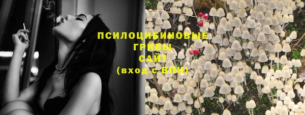 прущий лед Горно-Алтайск