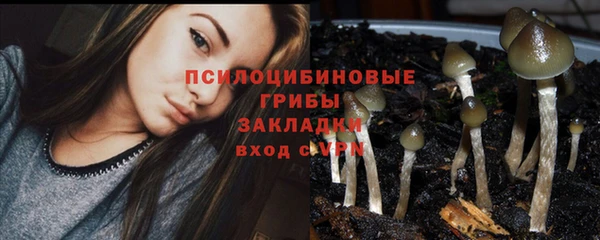прущий лед Горно-Алтайск
