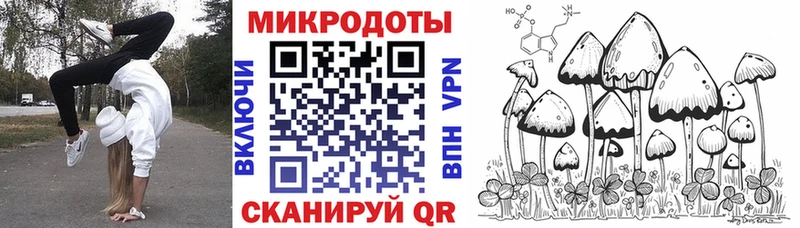 Галлюциногенные грибы Psilocybe  гидра онион  Дубовка  наркошоп 